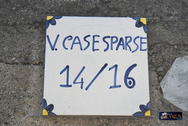 case sparse.JPG